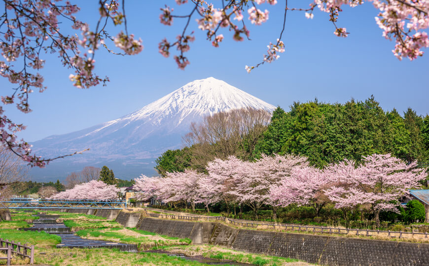 Shizuoka, Japan