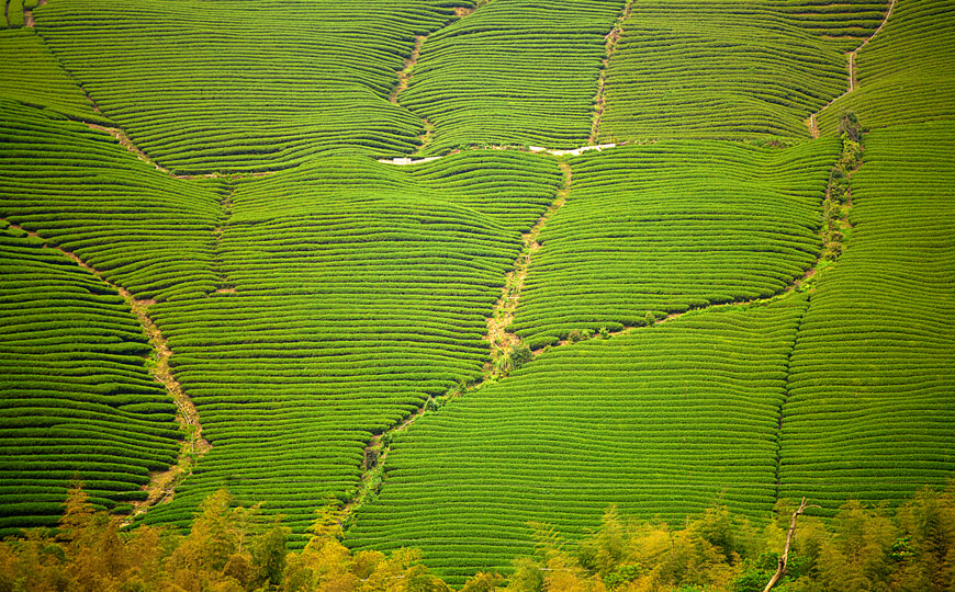 Wen Shan, Taiwan